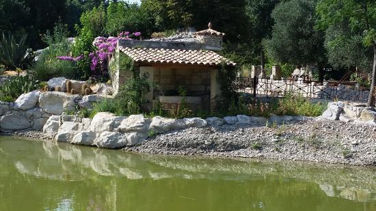 Jardin Aquatique Aux Fleurs de l'Eau