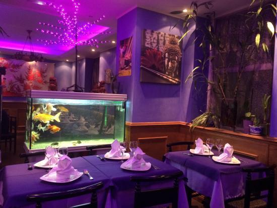 Orchidee Thai