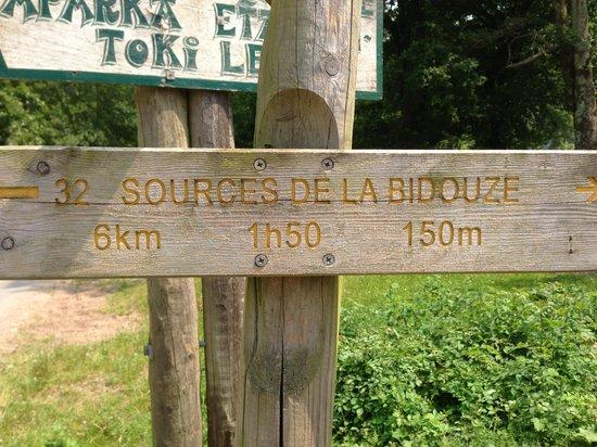 Source de la Bidouze