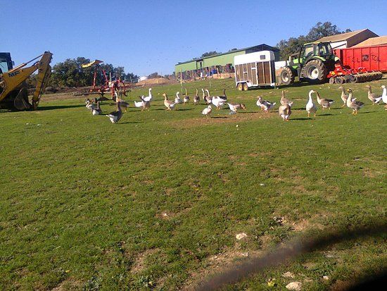 La Ferme Coudert
