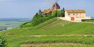 la montagne de Reims