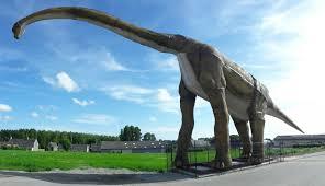 Raptor Park